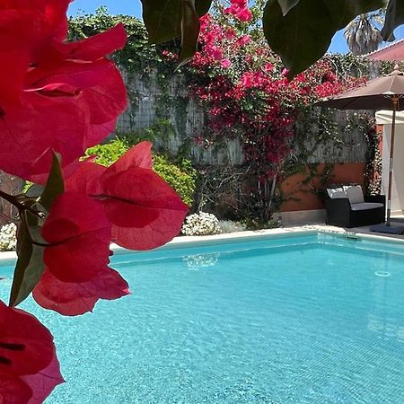Studio With Private Swimming Pool And Garden Кашкайш Екстер'єр фото